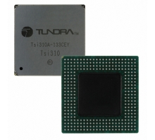 TSI310A-133CEY Image.