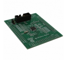 ML610Q482 REFBOARD Image.