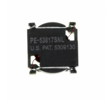 PE-53817SNL Image.