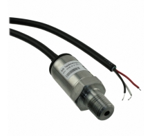 P51-1000-S-A-I36-4.5V-000-000 Image.