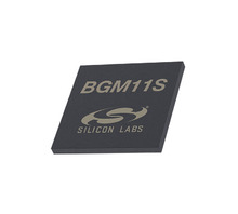 BGM11S12F256GA-V2R Image.