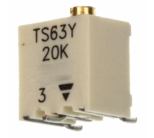 TS63Y203KR10 Image.